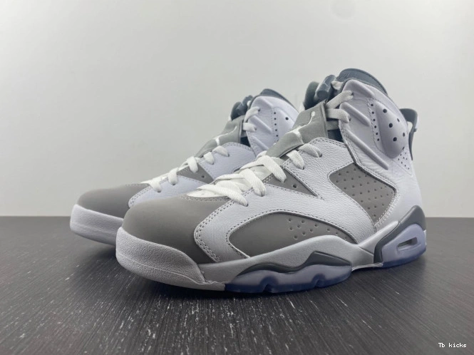Reps TBK CT8529-100 Cool Jordan Grey Air 6 0709